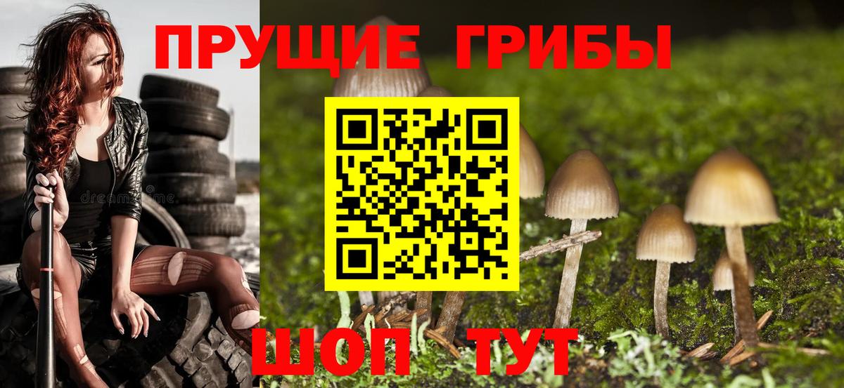 Галлюциногенные грибы ЛСД Мирный